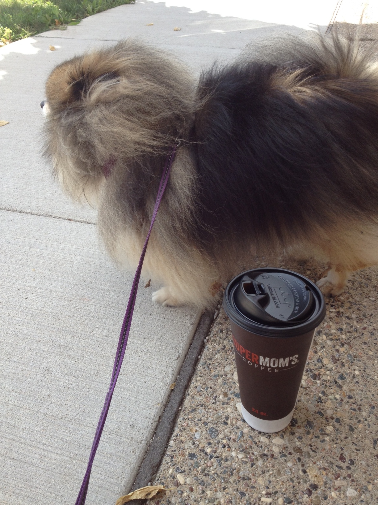 Photo showing a delicious cup of hot, decaf coffee